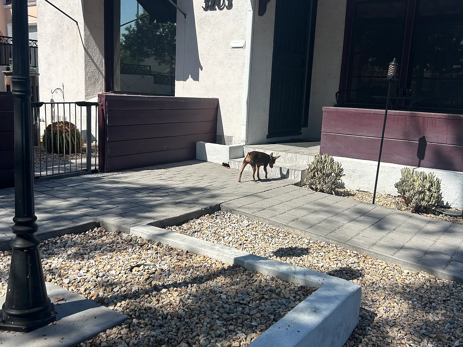 3 bed, 1350 sqft, $5,500 — Photo 3