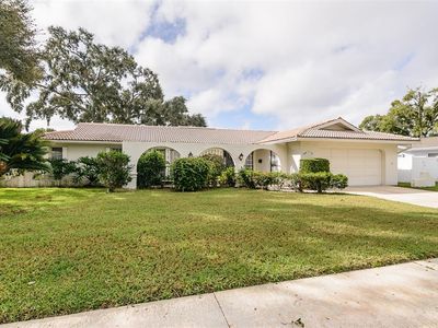 1101 McFarland St, Dunedin, FL, 34698
