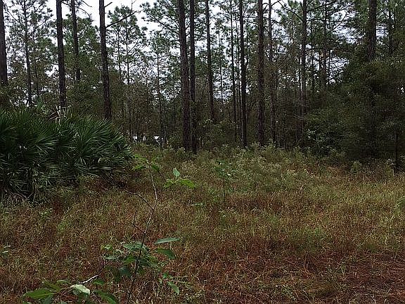 3rd image of 109 Badger Ln