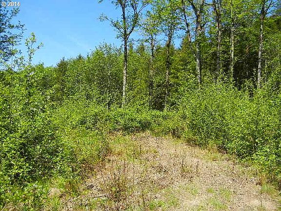 4th image of 9050 Spirit Lake Hwy