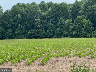 161 Anderson Rd, Magnolia, DE, 19962