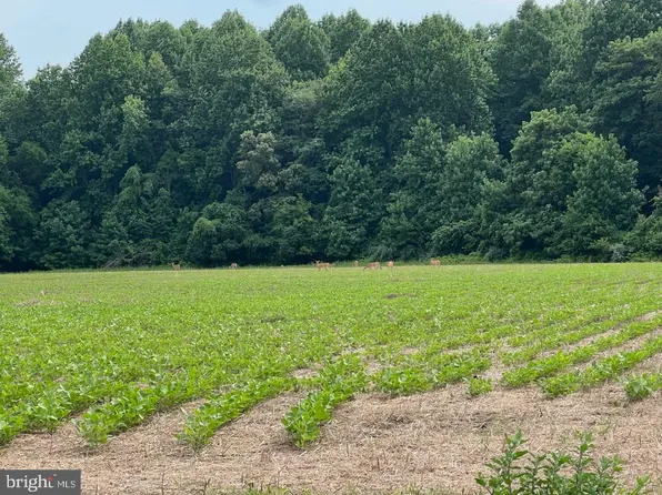 161 Anderson Rd, Magnolia, DE 19962