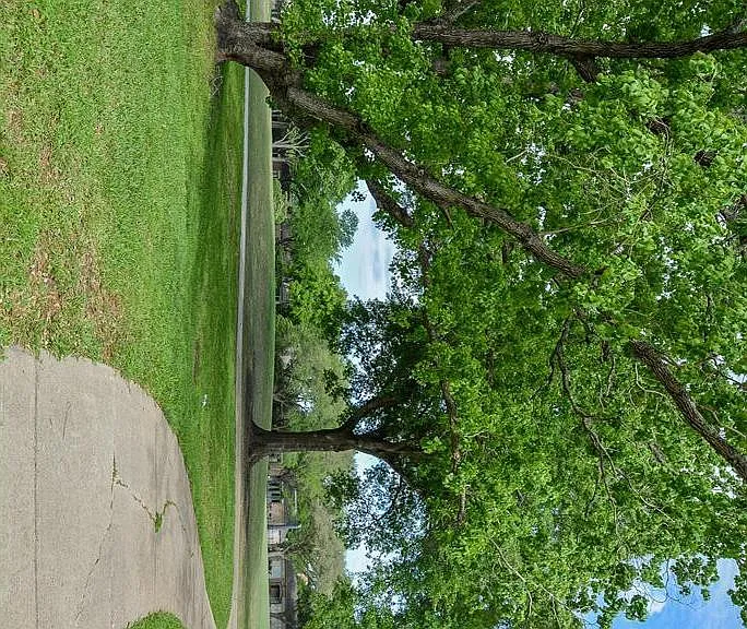 House grounds scenic view