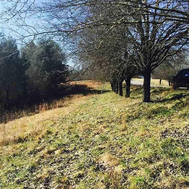 2nd image of 0 Hopson St Lot 12
