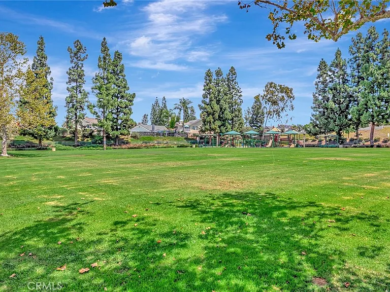 24811 Cutter — Photo 36