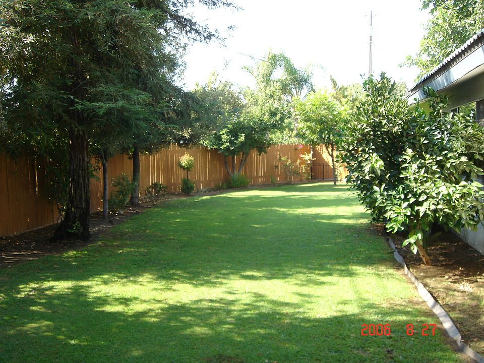Beautiful Back Yard