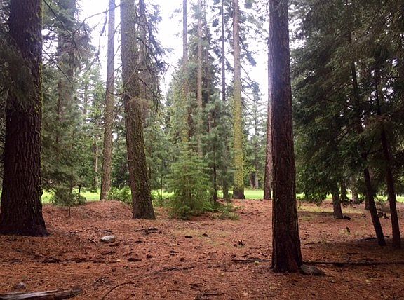 3rd image of 220 Lake Almanor West Dr