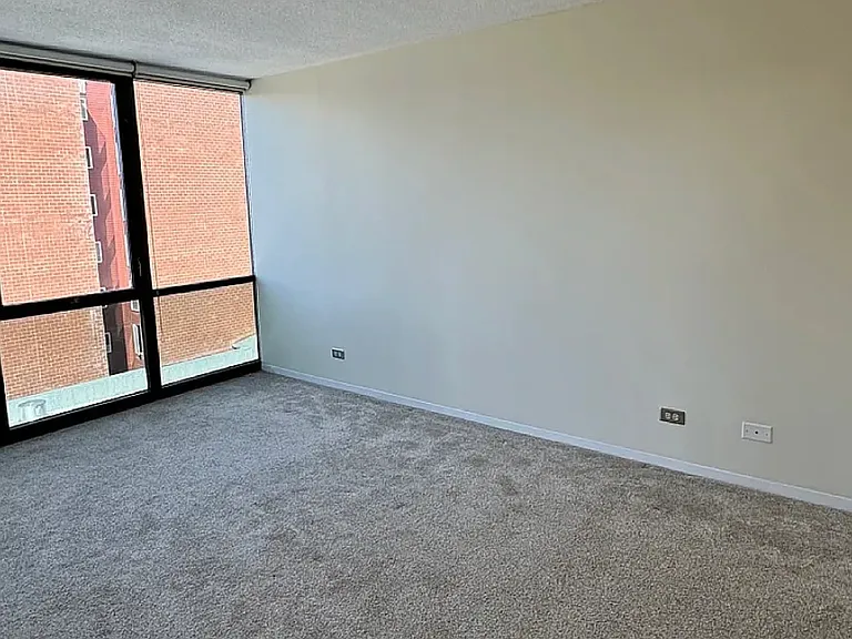 1309 N Wells St #501 — Photo 10