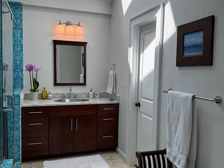 Primary Bath with Skylights