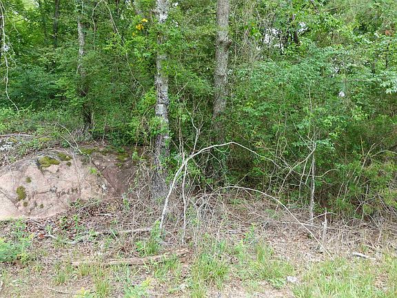 4th image of 0 State Highway 378
