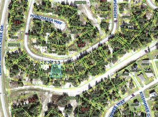 1348 Homosassa Dr, Poinciana, FL 34759
