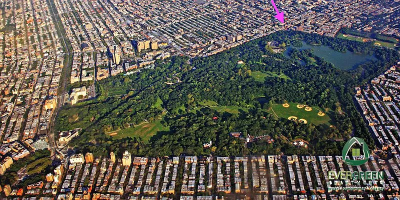 Rented by Evergreen Apartments BK | media 10