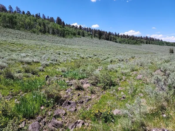Buck Run Rd, Powderhorn, CO 81243