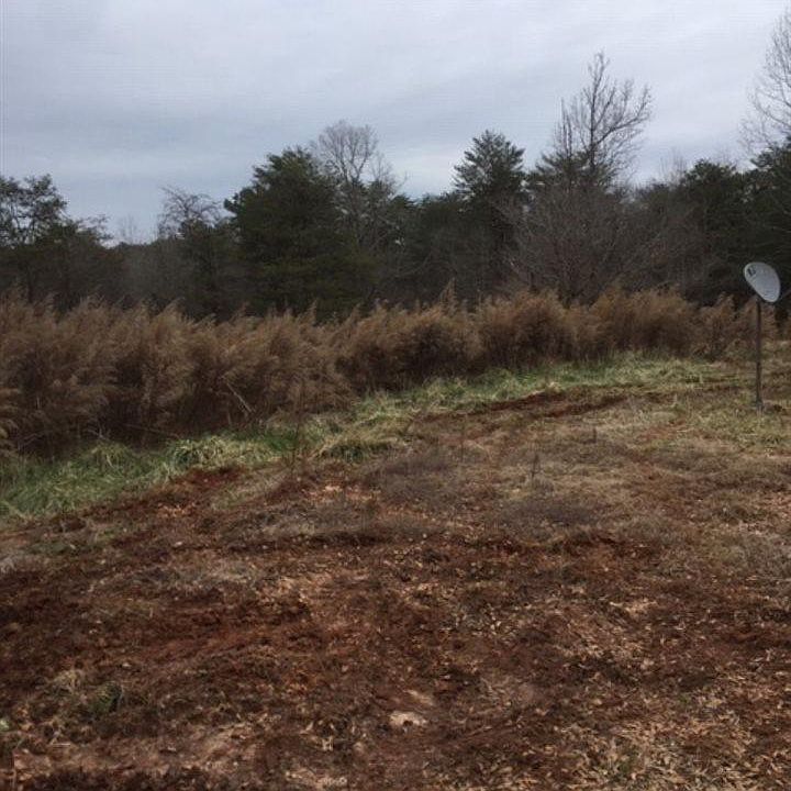 2nd image of 155 Cricket Hill Dr