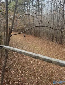 40 County Highway 25, Hamilton, AL, 35570