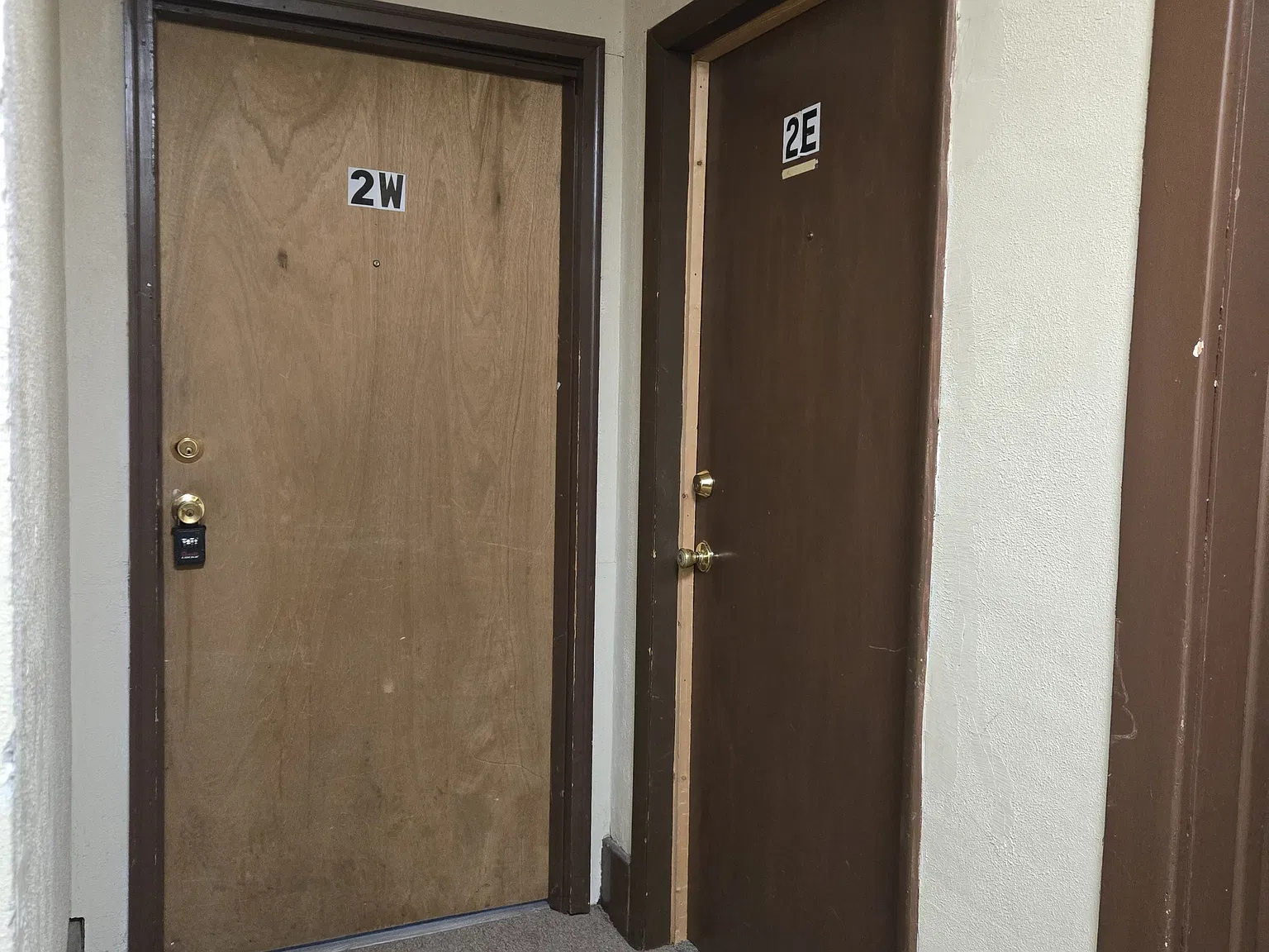213 Pearl Street - 2E — Photo 4