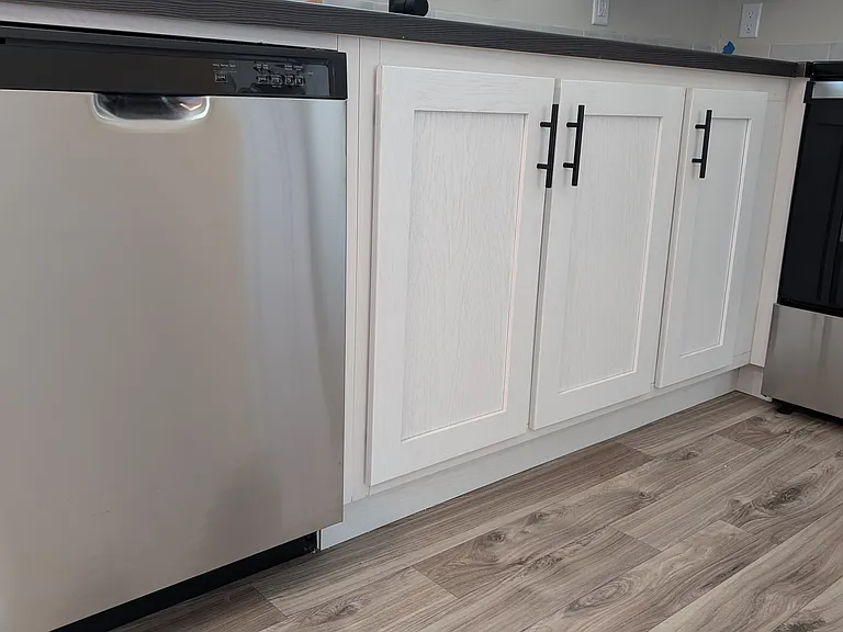 Stainless dishwasher