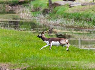 433 Indian Creek Rd, Ingram, TX 78025