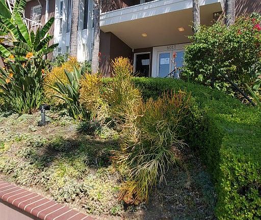 5th image of 8017 Selma Ave #104