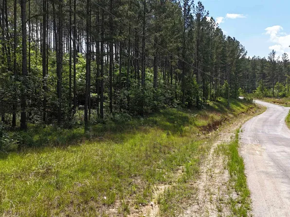 5.8 Pine Hills Way, Piedmont, AL 36272