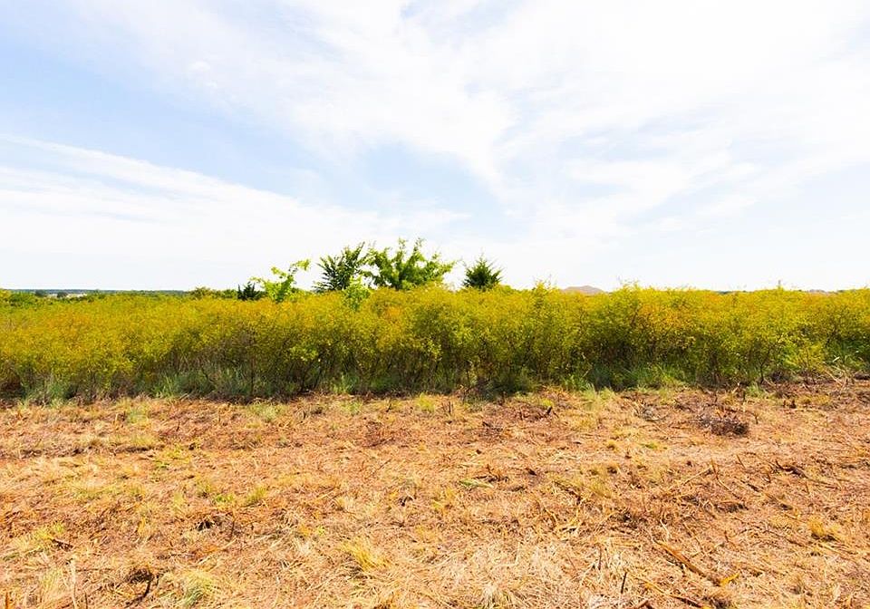 1st image of LOT 6 County Road 1336 Lot 6