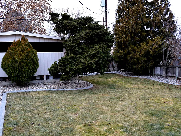 fenced backyard