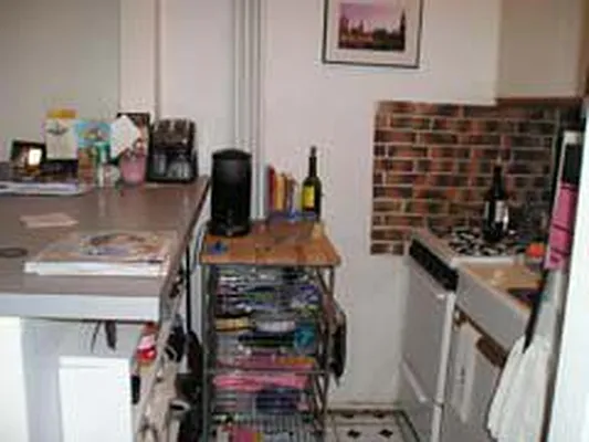 Rented by Eric Goodman Realty Corp | media 15