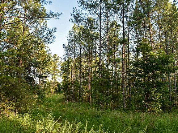 Compass South Land Sales Alabama Splunge Creek Tract 05