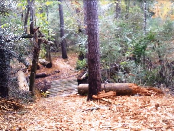 4th image of 83 Acres For Sale