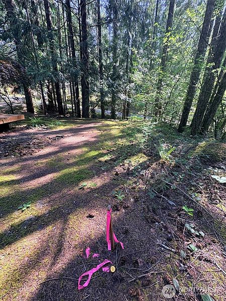 5th image of 30 N Skokomish Drive