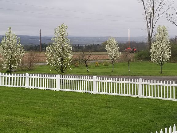 View from single family