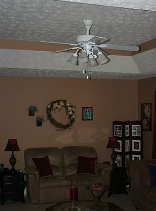 Tray Ceiling in Livine Room