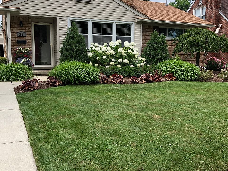 Front Yard 2019