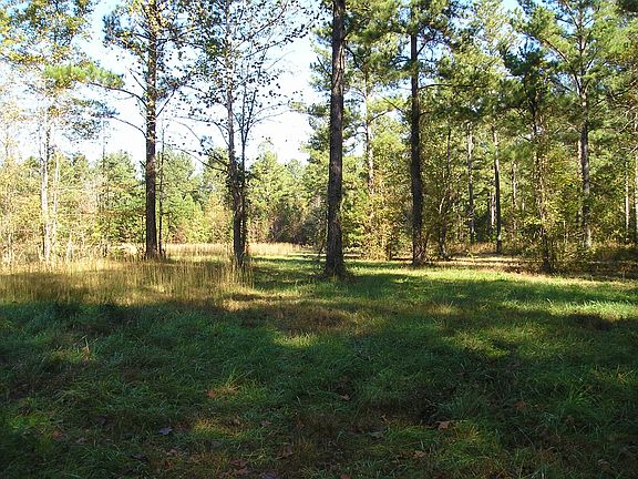 2nd image of LOT 64 County Road 195