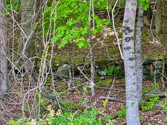 2nd image of Lot A Sweet Pond Road Lot 1