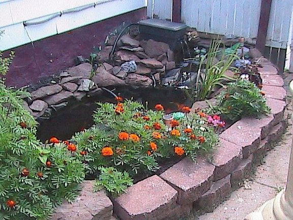 Here is a close up of the Koi Pond.