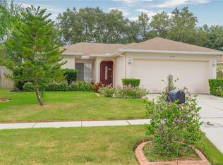 1446 Birchstone Ave, Brandon, FL 33511