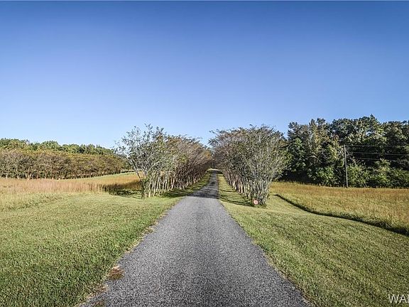 3rd image of 14704 Highway 171
