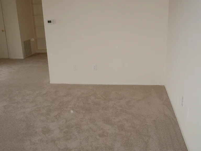 2025 N Lincoln St #113 — Photo 11