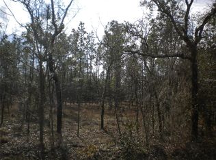 LOT 31 SW Arrow Leaf Trl LOT 31, Dunnellon, FL 34431