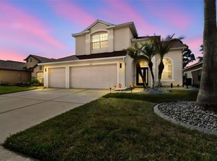 3633 Morgans Bluff Ct, Land O Lakes, FL 34639