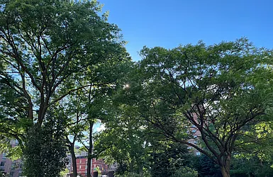 Rented by R New York