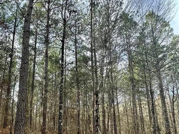 739 Timber Creek Trl, Broken Bow, OK 74728