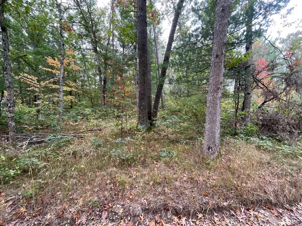 V/l Monroe, Idlewild, MI 49642