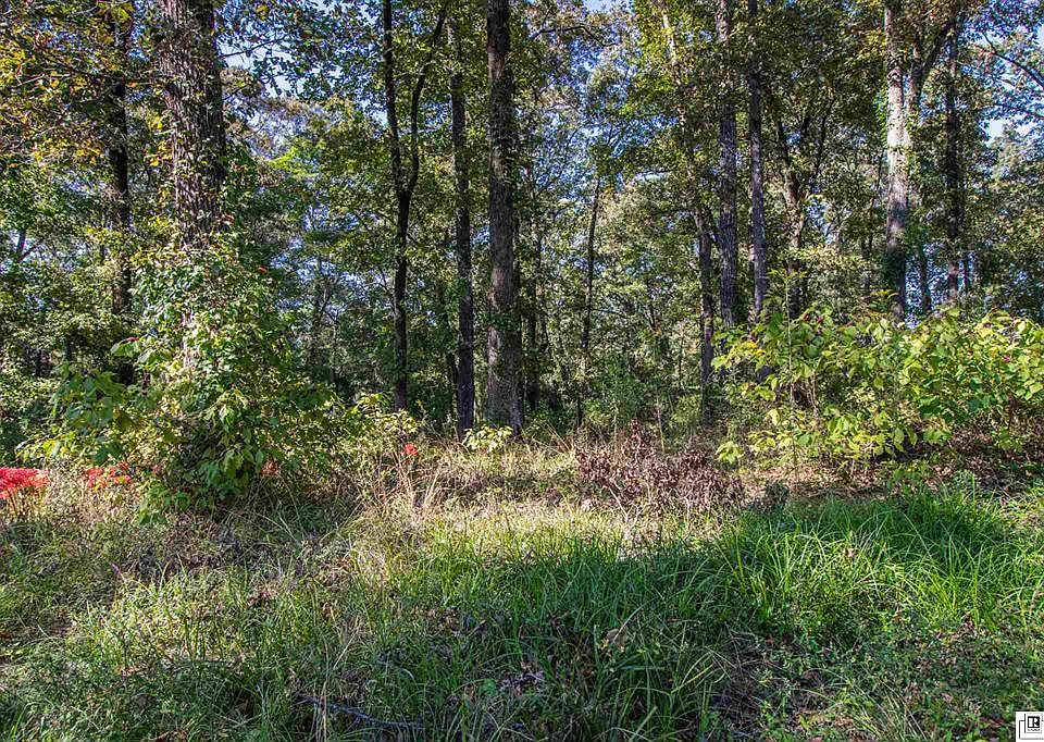 0 Caples Rd, West Monroe, LA 71292 Zillow