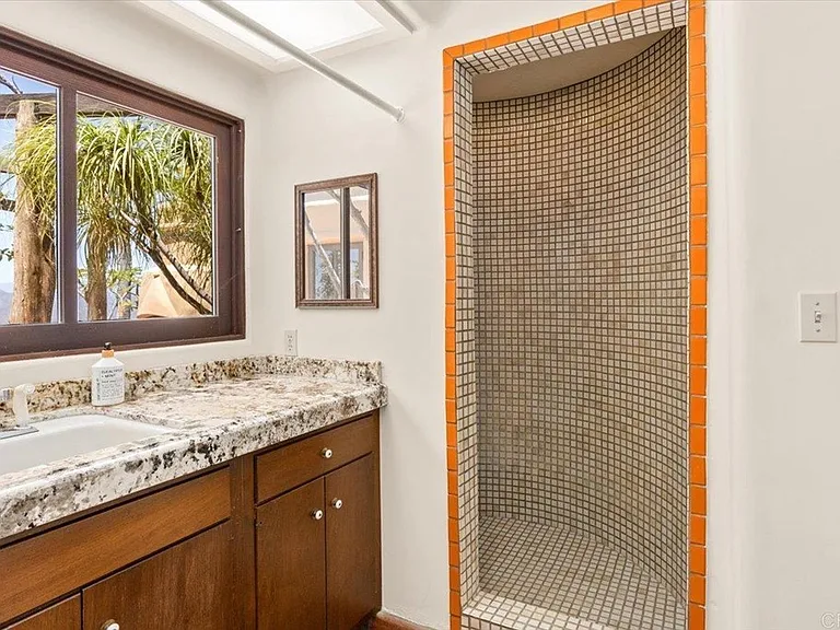 Downstairs bathroom and shower
