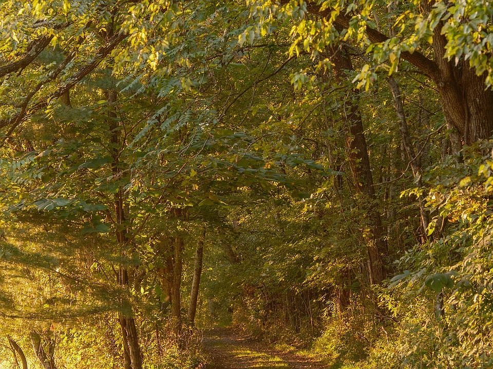 16th image of 3685 Martin Ervin Rd