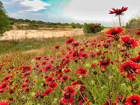 5th image of 0 Settemeyer Rd