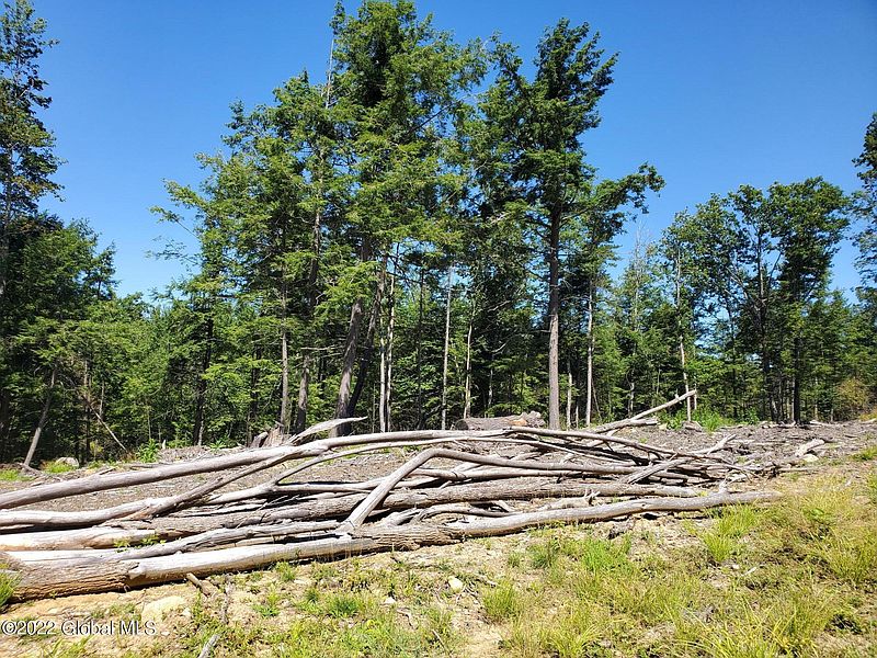 3rd image of L30 Barkersville Road