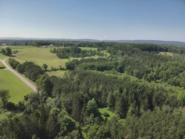 0 Millview Mountain Rd, Forksville, PA 18616